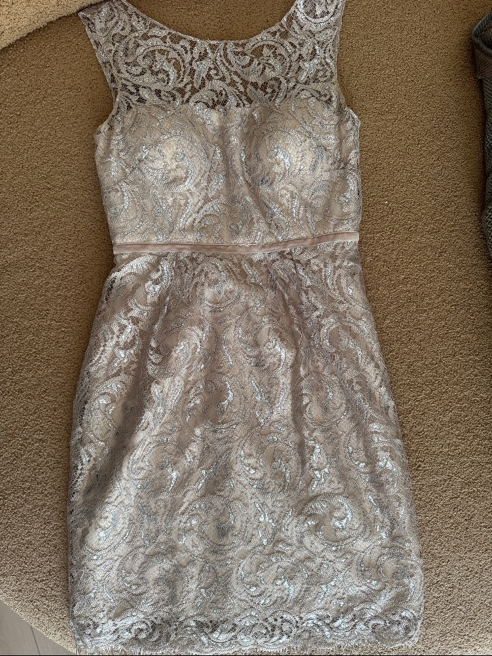 🔥Jenny Yoo Collection 🔥Sleeveless Metallic accent Lace Party Dress in Champagne